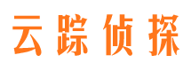 大通侦探